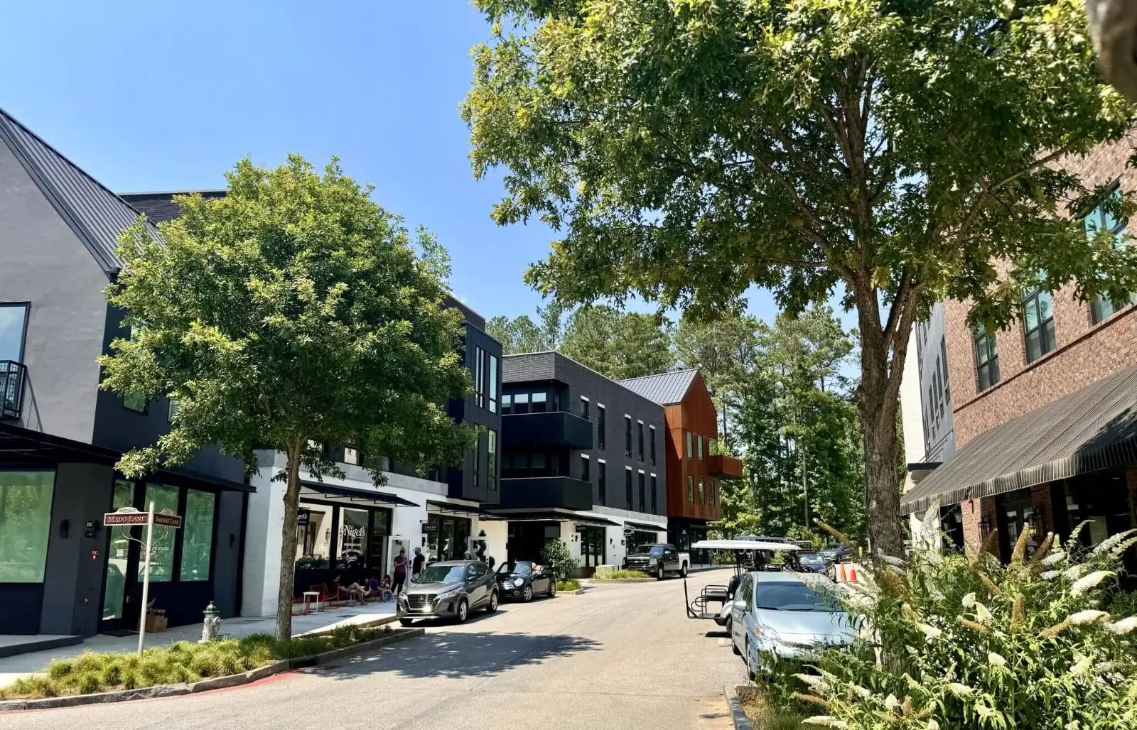Serenbe community and village-scale development